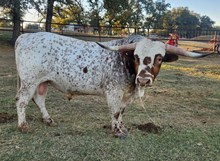 JP BACK TO THE FUTURE