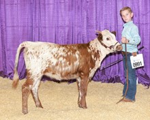 JP HEAVY METAL QUEEN